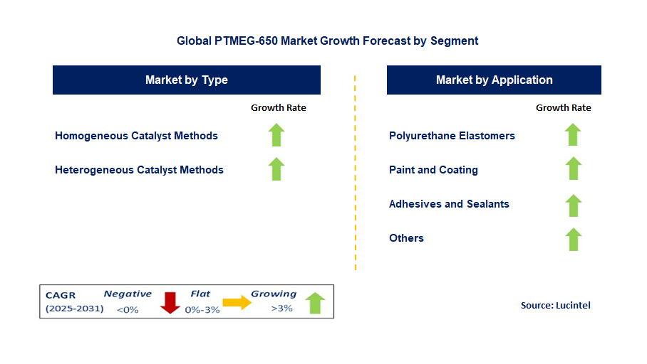 PTMEG-650 Market by Segment