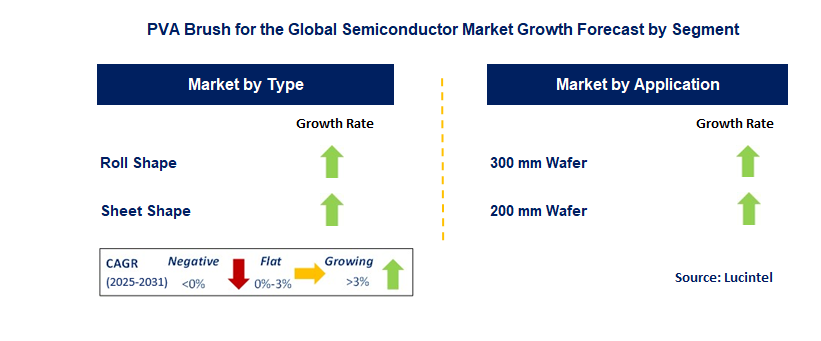 PVA Brush for Semiconductor Market by Segment