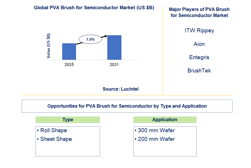 PVA Brush for Semiconductor Market Trends and Forecast