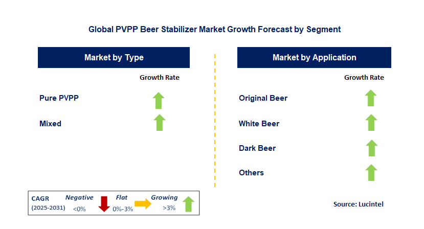 PVPP Beer Stabilizer Market by Segment