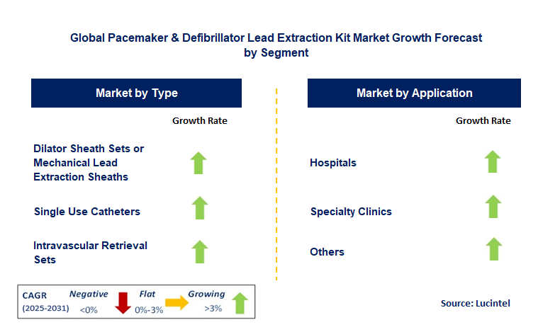 Pacemaker & Defibrillator Lead Extraction Kit Market by Segment