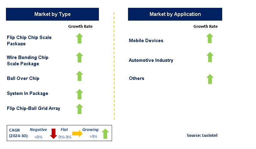 Package Substrate by Segment