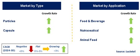 Packaged Chia Seed Market by Segment