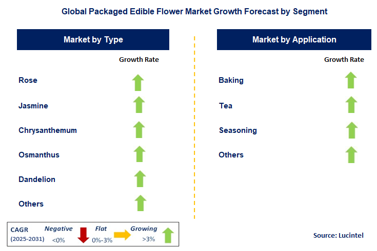 Packaged Edible Flower Market by Segment