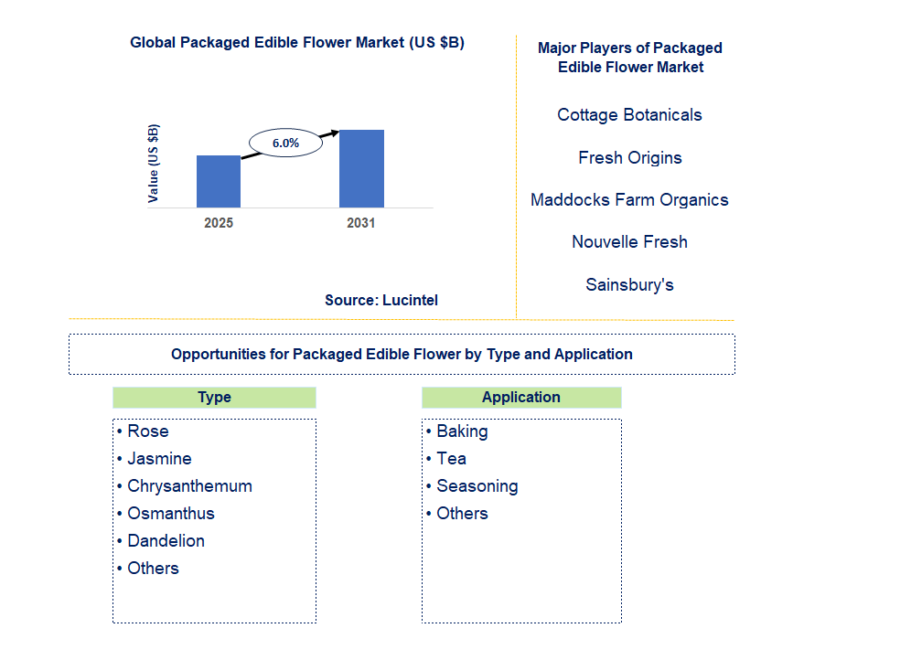Packaged Edible Flower Market Trends and Forecast