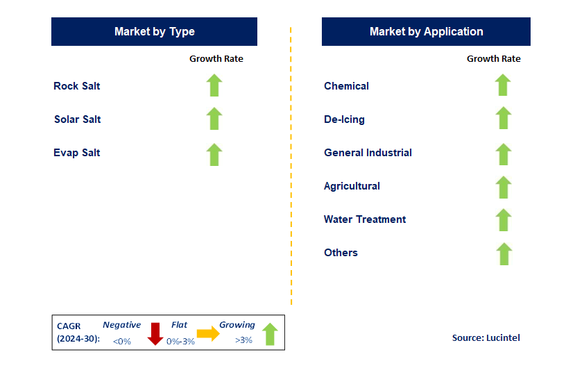 Packaged Salt by Segment