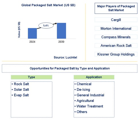 Packaged Salt Market Trends and Forecast