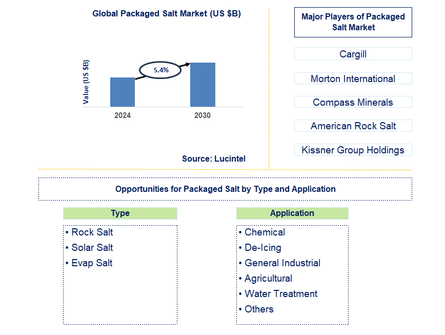 Packaged Salt Trends and Forecast