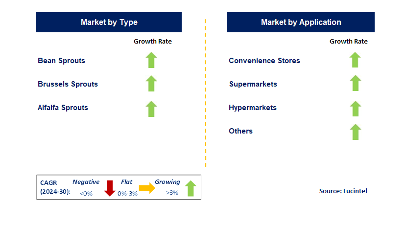 Packaged Sprout by Segment