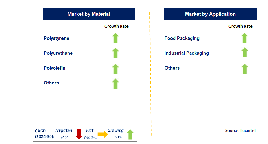 Packaging Foam by Segment