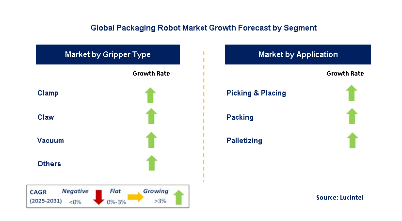 Packaging Robot Market by Segment