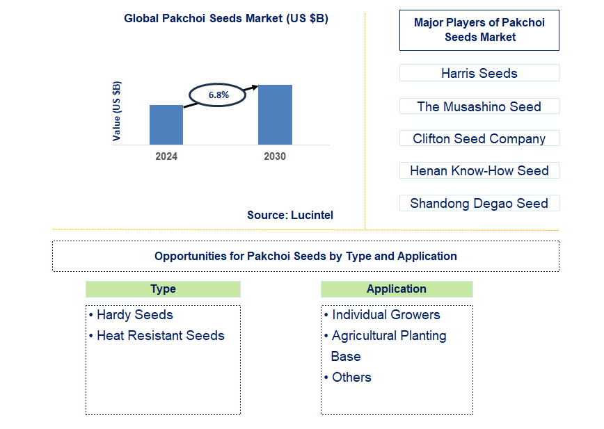 Pakchoi Seeds Trends and Forecast