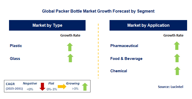 Packer Bottle Market by Segment