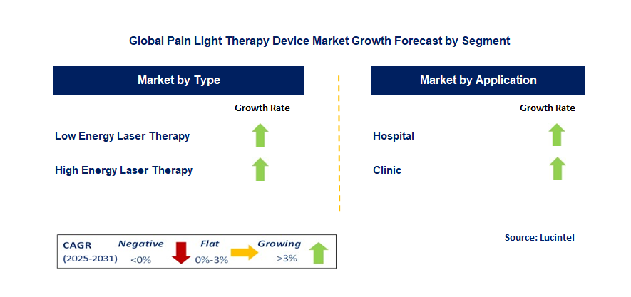 Pain Light Therapy Device Market by Segment