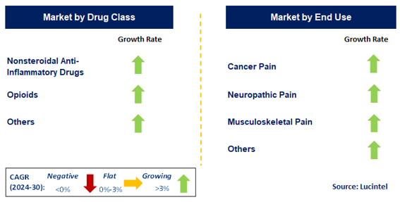 Pain Relief Medication by Segment