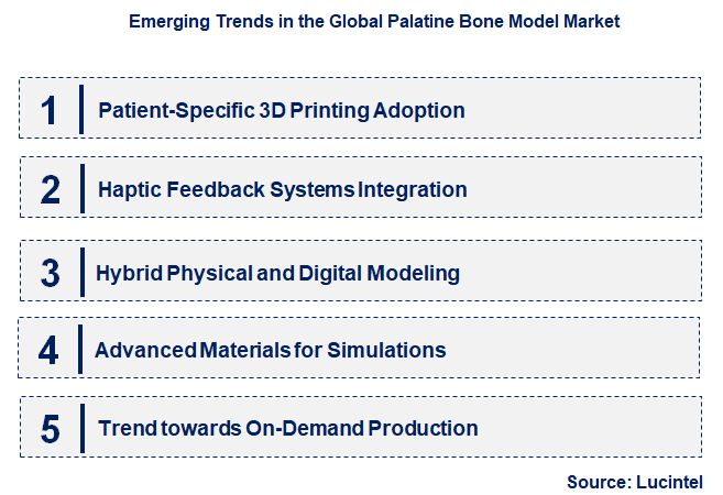Emerging Trends in the Palatine Bone Model Market