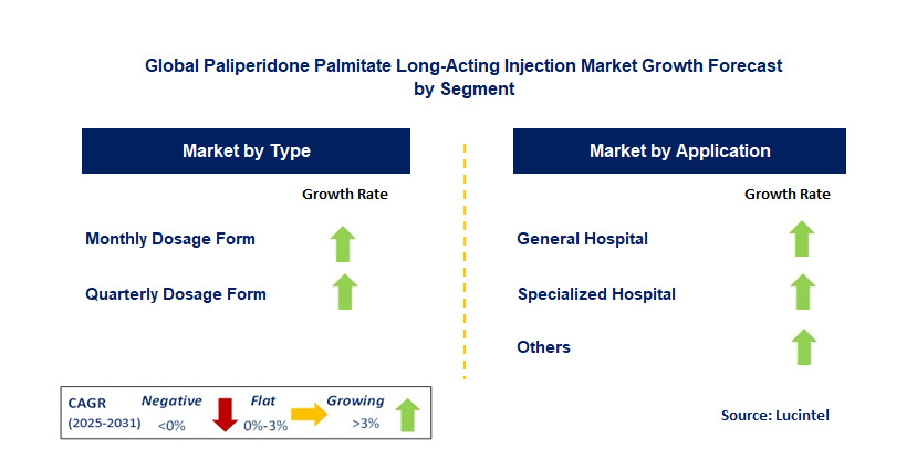 Paliperidone Palmitate Long-Acting Injection Market by Segment