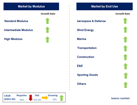 Pan Based CF Market by Segment