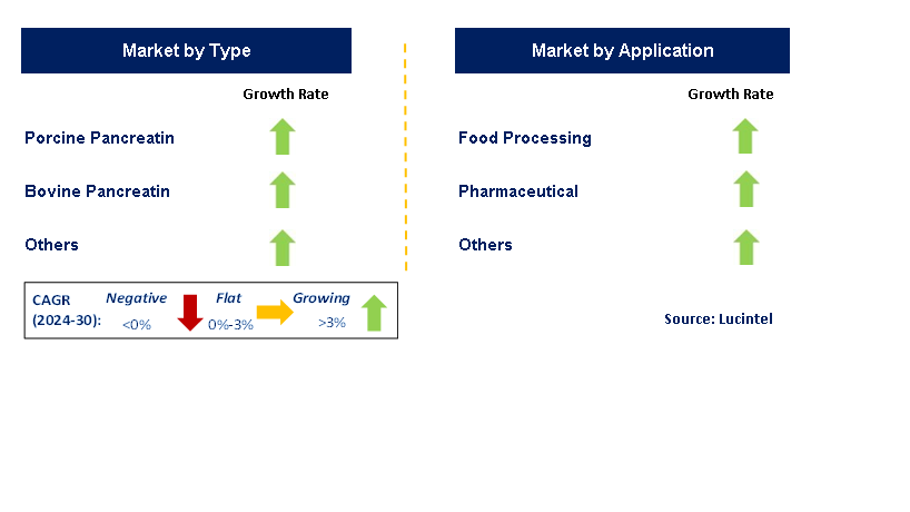 Pancreatin Powder by Segment