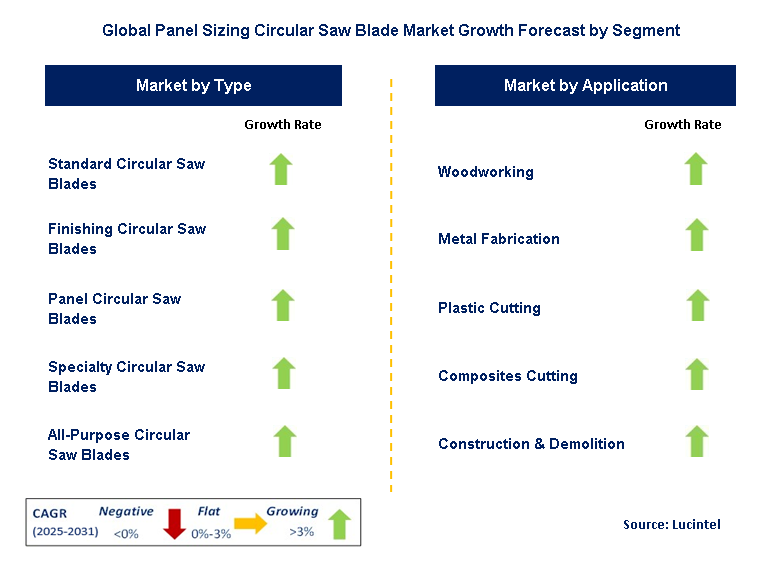 Panel Sizing Circular Saw Blade Market by Segment