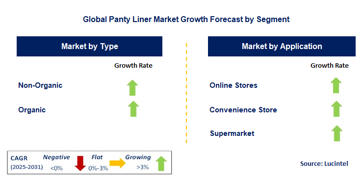 Panty Liner Market by Segment