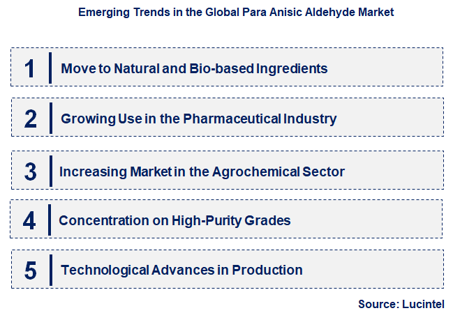 Emerging Trends in the Para Anisic Aldehyde Market