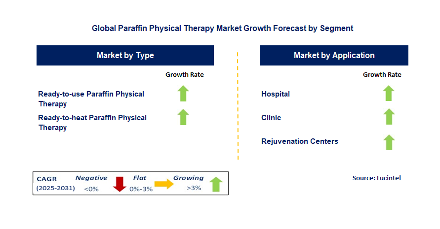 Paraffin Physical Therapy Market by Segment