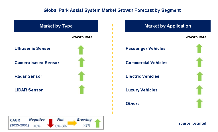 Park Assist System Market by Segment