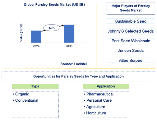 Parsley Seeds Market Trends and Forecast