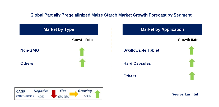 Partially Pregelatinized Maize Starch Market by Segment