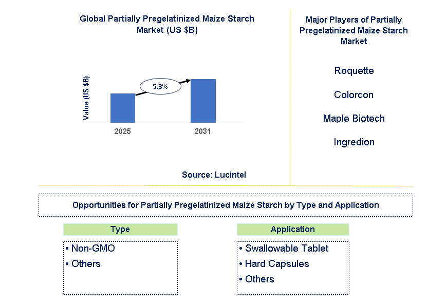 Partially Pregelatinized Maize Starch Market Trends and Forecast
