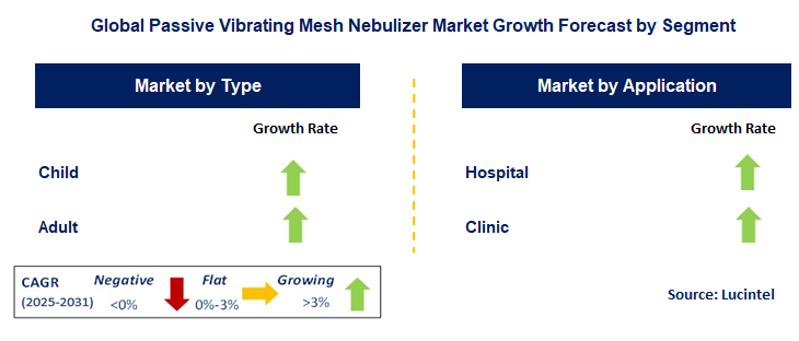 Passive Vibrating Mesh Nebulizer Market by Segment