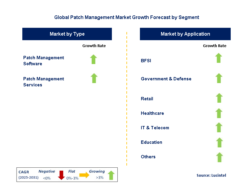 Patch Management Market by Segment