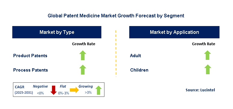 Patent Medicine Market by Segment