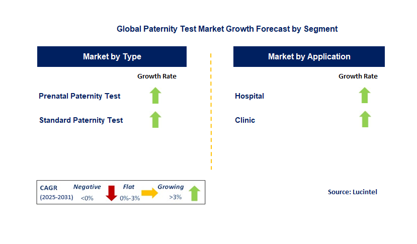 Paternity Test Market by Segment