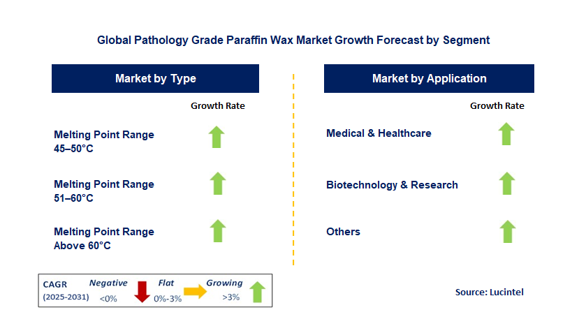 Pathology Grade Paraffin Wax Market by Segment