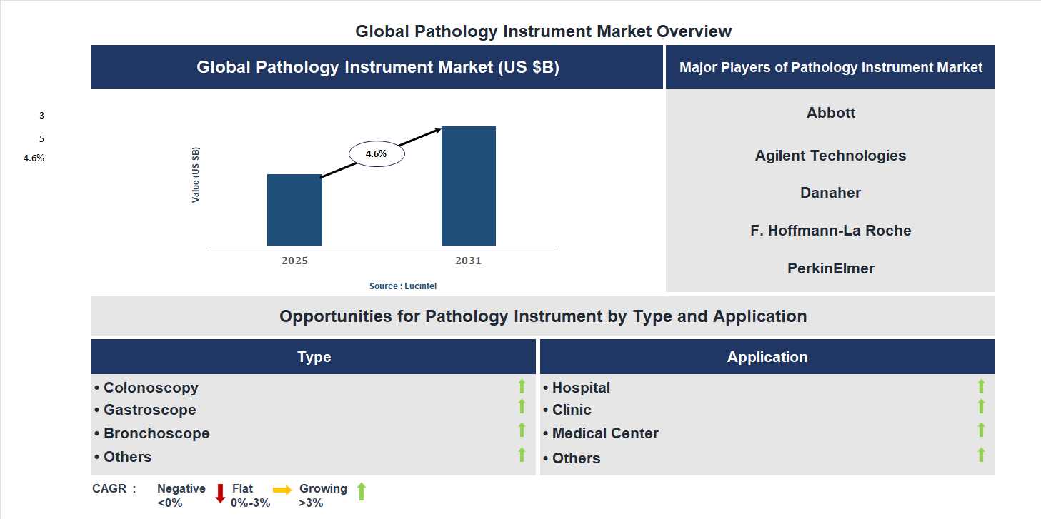 Pathology Instrument Market Trends and Forecast