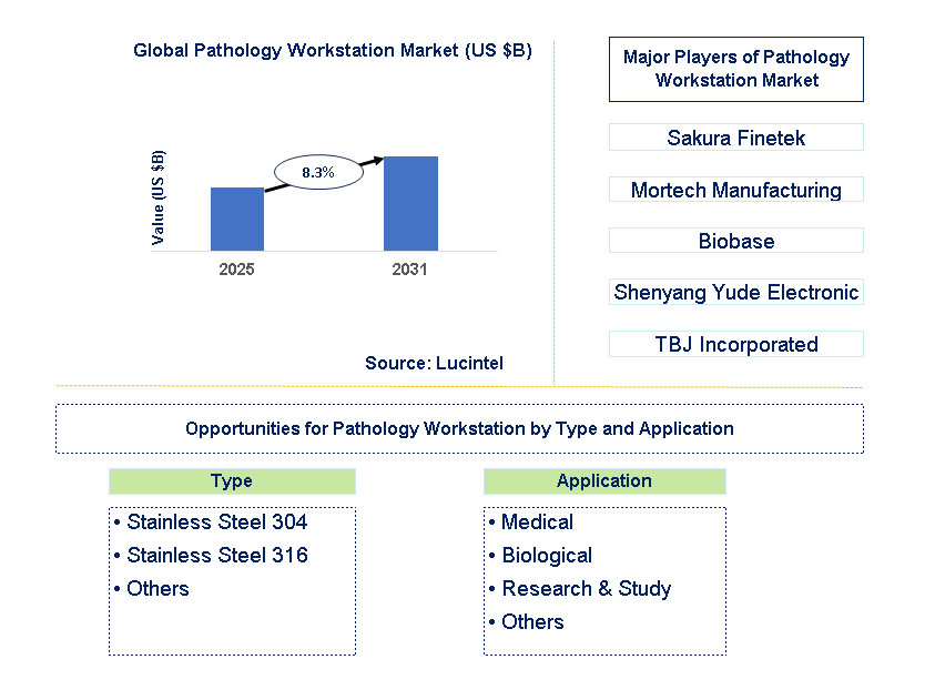 Pathology Workstation Market Trends and Forecast Pathology Workstation Market Trends and Forecast