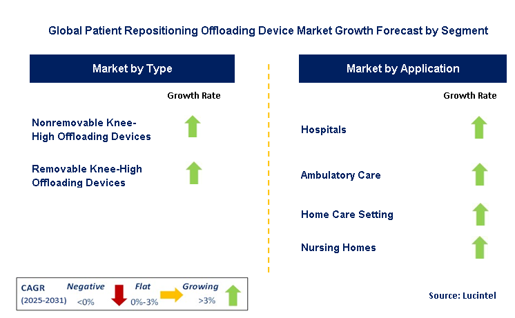 Patient Repositioning Offloading Device Market by Segment