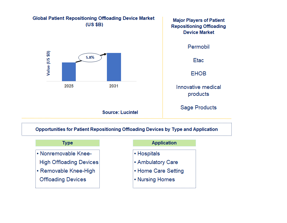 Patient Repositioning Offloading Device Market Trends and Forecast