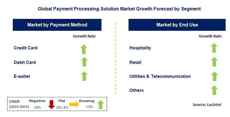 Payment Processing Solution Market by Segment