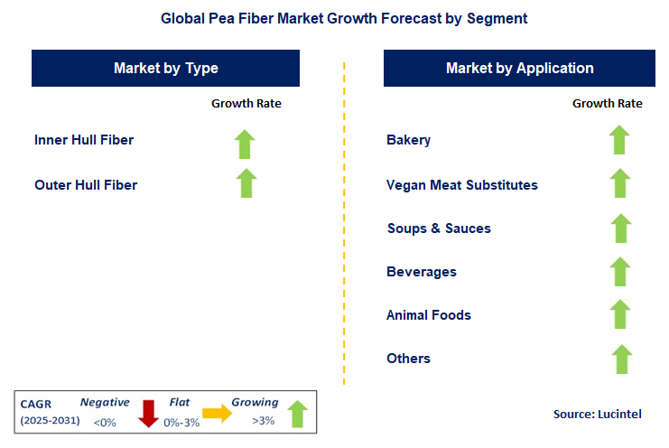 Pea Fiber Market by Segment