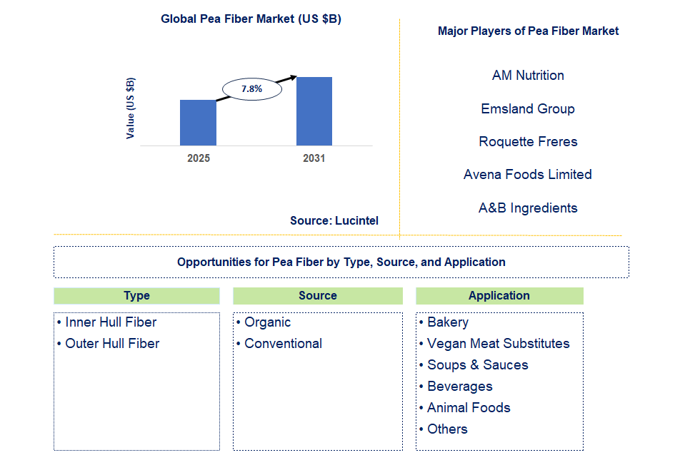Pea Fiber Market Trends and Forecast