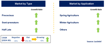Pea Seed Market by Segment