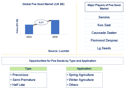 Pea Seed Market Trends and Forecast