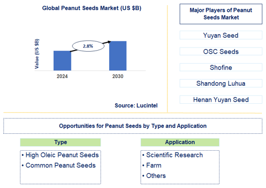 Peanut Seeds Market Trends and Forecast