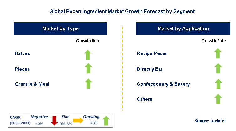 Pecan Ingredient Market by Segment