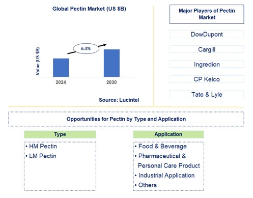 Pectin Trends and Forecast