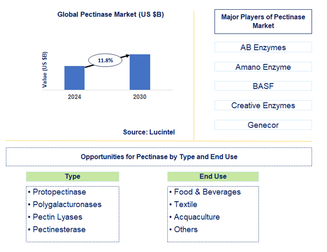 Pectinase Market Trends and Forecast