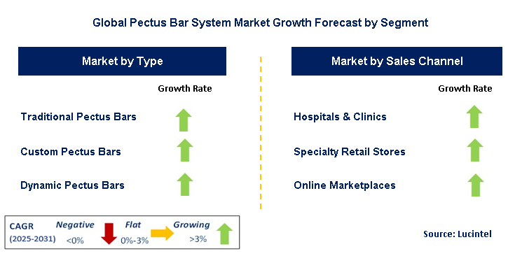 Pectus Bar System Market by Segment